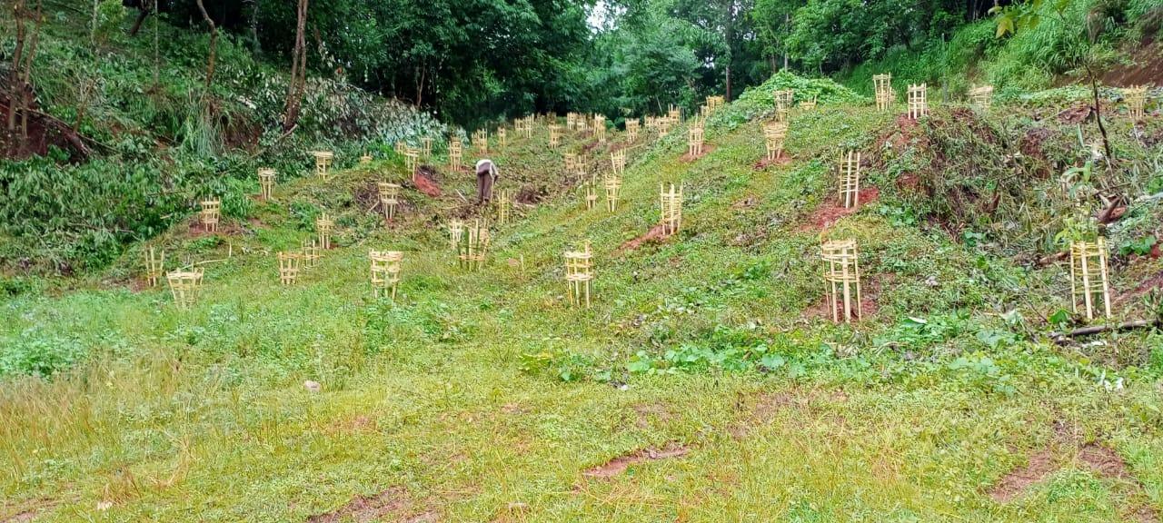 C:\Users\Lavinia Pde\AppData\Local\Microsoft\Windows\INetCache\Content.Word\IMG-20220418-WA0024.jpg